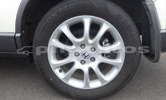 Buy Used Honda CRV White Car in Port Moresby in National Capital District Buy Used Honda CRV White Car in Port Moresby in National Capital District