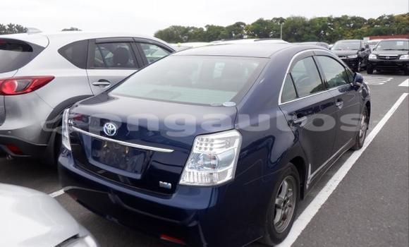 Buy Used Toyota Sai Blue Car in Port Moresby in National Capital District Buy Used Toyota Sai Blue Car in Port Moresby in National Capital District