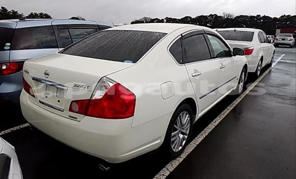 Buy Used Nissan Fuga White Car in Port Moresby in National Capital District Buy Used Nissan Fuga White Car in Port Moresby in National Capital District