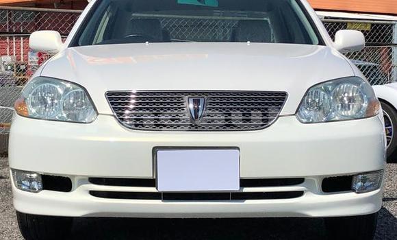 Buy Import Toyota MarkII White Car in Port Moresby in National Capital District Buy Import Toyota MarkII White Car in Port Moresby in National Capital District
