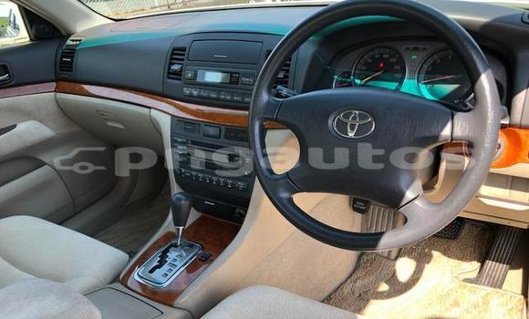 Buy Import Toyota MarkII White Car in Port Moresby in National Capital District Buy Import Toyota MarkII White Car in Port Moresby in National Capital District