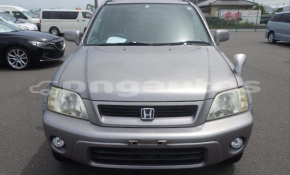 Buy Used Honda CRV Silver Car in Port Moresby in National Capital District Buy Used Honda CRV Silver Car in Port Moresby in National Capital District