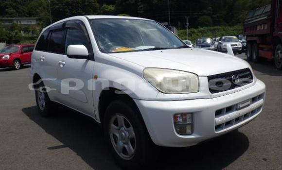 Buy Used Toyota RAV4 White Car in Port Moresby in National Capital District Buy Used Toyota RAV4 White Car in Port Moresby in National Capital District