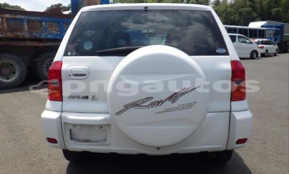 Buy Used Toyota RAV4 White Car in Port Moresby in National Capital District Buy Used Toyota RAV4 White Car in Port Moresby in National Capital District