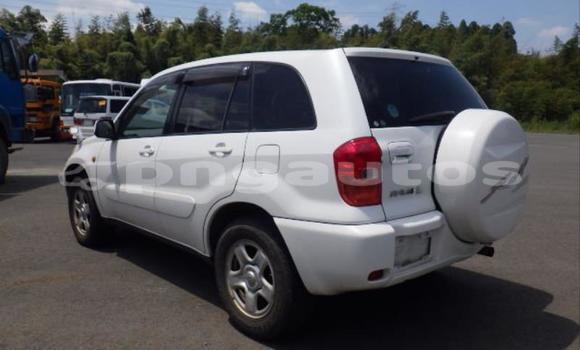 Buy Used Toyota RAV4 White Car in Port Moresby in National Capital District Buy Used Toyota RAV4 White Car in Port Moresby in National Capital District