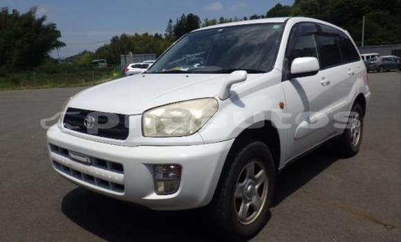 Buy Used Toyota RAV4 White Car in Port Moresby in National Capital District Buy Used Toyota RAV4 White Car in Port Moresby in National Capital District