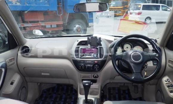 Buy Used Toyota RAV4 White Car in Port Moresby in National Capital District Buy Used Toyota RAV4 White Car in Port Moresby in National Capital District