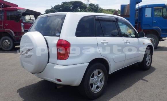 Buy Used Toyota RAV4 White Car in Port Moresby in National Capital District Buy Used Toyota RAV4 White Car in Port Moresby in National Capital District