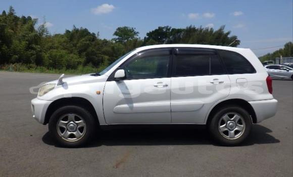 Buy Used Toyota RAV4 White Car in Port Moresby in National Capital District Buy Used Toyota RAV4 White Car in Port Moresby in National Capital District