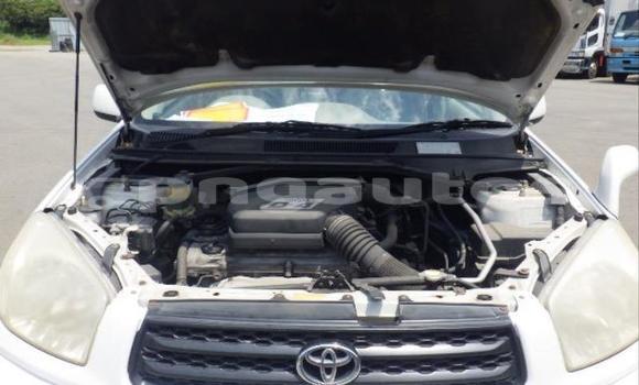 Buy Used Toyota RAV4 White Car in Port Moresby in National Capital District Buy Used Toyota RAV4 White Car in Port Moresby in National Capital District