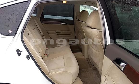 Buy Used Nissan Fuga White Car in Lae in Morobe Buy Used Nissan Fuga White Car in Lae in Morobe