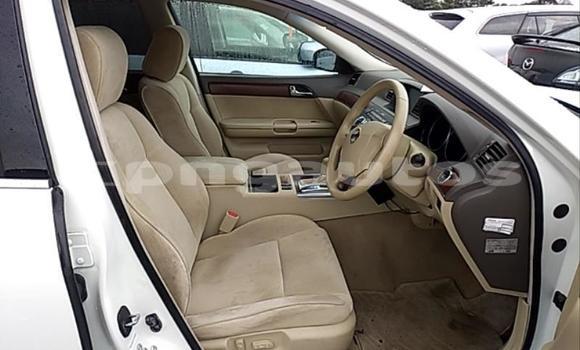 Buy Used Nissan Fuga White Car in Lae in Morobe Buy Used Nissan Fuga White Car in Lae in Morobe