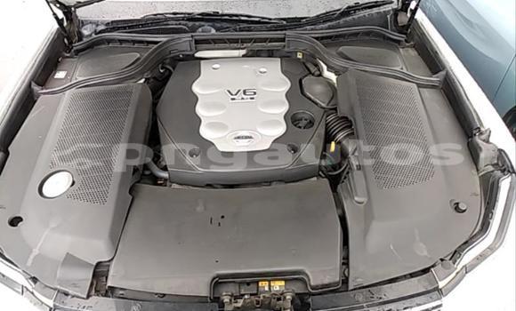 Buy Used Nissan Fuga White Car in Lae in Morobe Buy Used Nissan Fuga White Car in Lae in Morobe