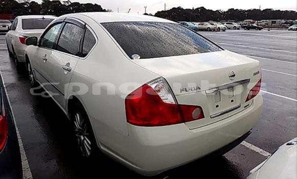 Buy Used Nissan Fuga White Car in Lae in Morobe Buy Used Nissan Fuga White Car in Lae in Morobe