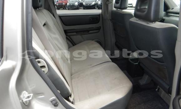 Buy Used Nissan X–Trail Silver Car in Lae in Morobe Buy Used Nissan X–Trail Silver Car in Lae in Morobe