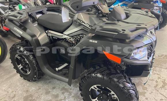 Buy Used Can–am DS 650 Other Bike in Port Moresby in National Capital District Buy Used Can–am DS 650 Other Bike in Port Moresby in National Capital District