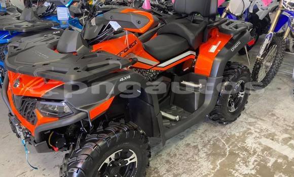Buy Used Can–am DS 650 Other Bike in Port Moresby in National Capital District Buy Used Can–am DS 650 Other Bike in Port Moresby in National Capital District