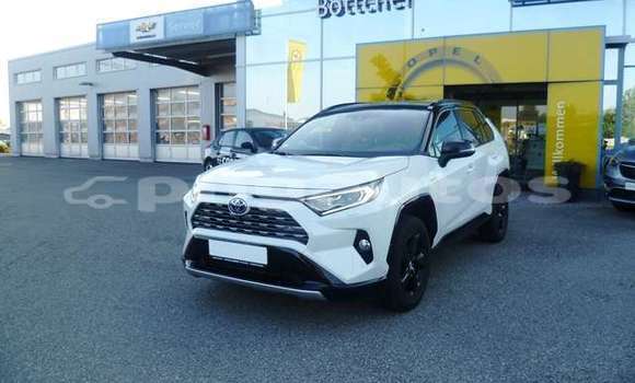 Buy Used Toyota RAV4 Other Car in Port Moresby in National Capital District Buy Used Toyota RAV4 Other Car in Port Moresby in National Capital District