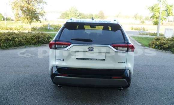 Buy Used Toyota RAV4 Other Car in Port Moresby in National Capital District Buy Used Toyota RAV4 Other Car in Port Moresby in National Capital District