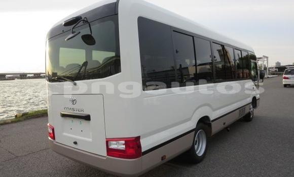 Buy Used Toyota Coaster White Car in Port Moresby in National Capital District Buy Used Toyota Coaster White Car in Port Moresby in National Capital District