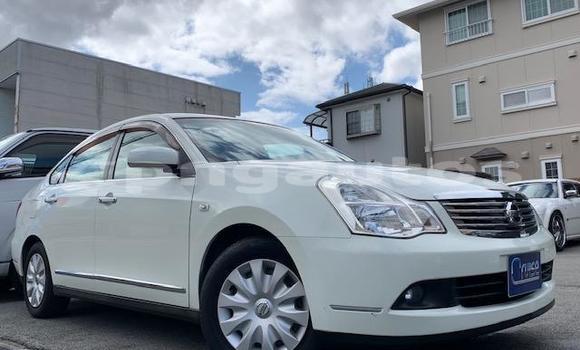 Buy Import Nissan Bluebird Sylphy White Car in Port Moresby in National Capital District Buy Import Nissan Bluebird Sylphy White Car in Port Moresby in National Capital District