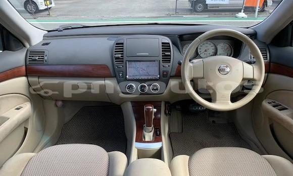 Buy Import Nissan Bluebird Sylphy White Car in Port Moresby in National Capital District Buy Import Nissan Bluebird Sylphy White Car in Port Moresby in National Capital District