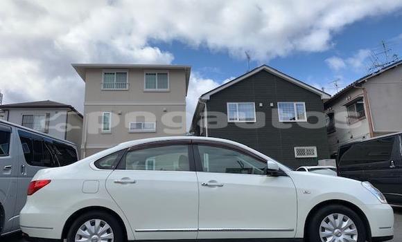 Buy Import Nissan Bluebird Sylphy White Car in Port Moresby in National Capital District Buy Import Nissan Bluebird Sylphy White Car in Port Moresby in National Capital District