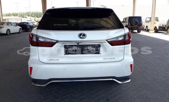 Buy Used Lexus RX 350 White Car in Aiamback in Western (Fly) Buy Used Lexus RX 350 White Car in Aiamback in Western (Fly)