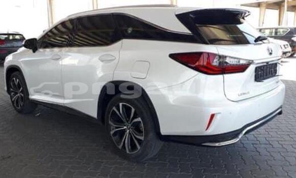 Buy Used Lexus RX 350 White Car in Aiamback in Western (Fly) Buy Used Lexus RX 350 White Car in Aiamback in Western (Fly)