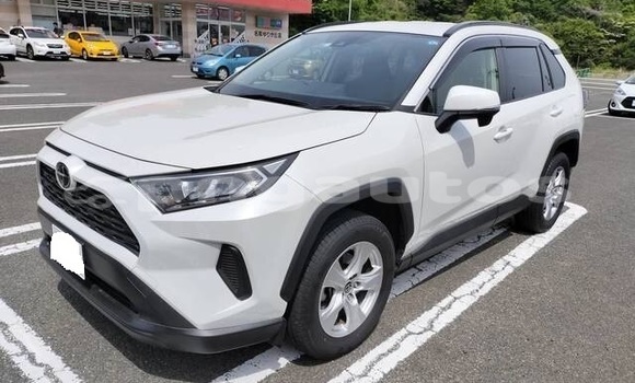 Buy Used Toyota RAV4 White Car in Ambok in Madang Buy Used Toyota RAV4 White Car in Ambok in Madang