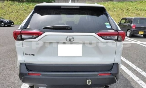 Buy Used Toyota RAV4 White Car in Ambok in Madang Buy Used Toyota RAV4 White Car in Ambok in Madang