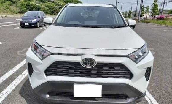 Buy Used Toyota RAV4 White Car in Ambok in Madang Buy Used Toyota RAV4 White Car in Ambok in Madang