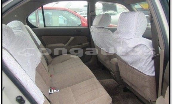 Buy Used Toyota Camry Other Car in Bulolo in Morobe Buy Used Toyota Camry Other Car in Bulolo in Morobe