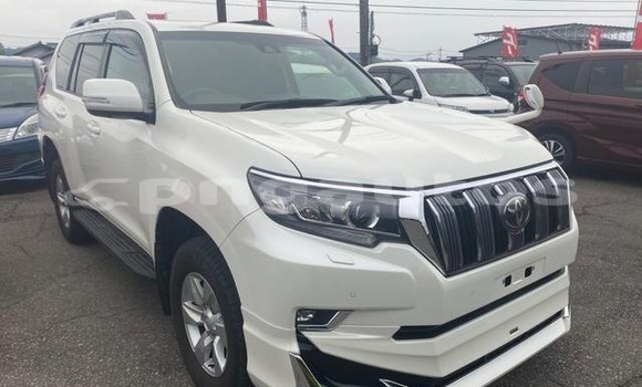 Buy Used Toyota Land Cruiser Prado White Car in Balimo in Western (Fly) Buy Used Toyota Land Cruiser Prado White Car in Balimo in Western (Fly)