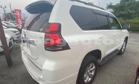 Buy Used Toyota Land Cruiser Prado White Car in Balimo in Western (Fly) Buy Used Toyota Land Cruiser Prado White Car in Balimo in Western (Fly)