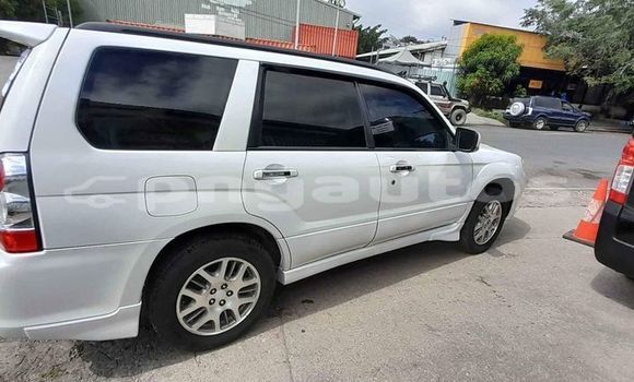Buy Used Subaru Forester White Car in Port Moresby in National Capital District