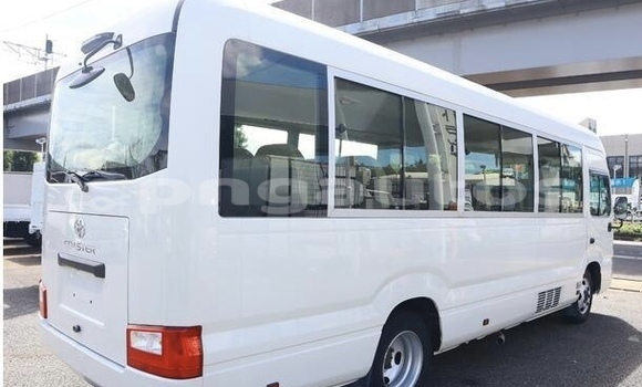 Buy Used Toyota Coaster White Car in Port Moresby in National Capital District Buy Used Toyota Coaster White Car in Port Moresby in National Capital District