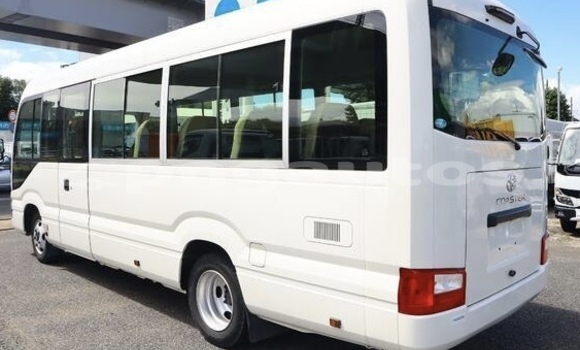 Buy Used Toyota Coaster White Car in Port Moresby in National Capital District Buy Used Toyota Coaster White Car in Port Moresby in National Capital District