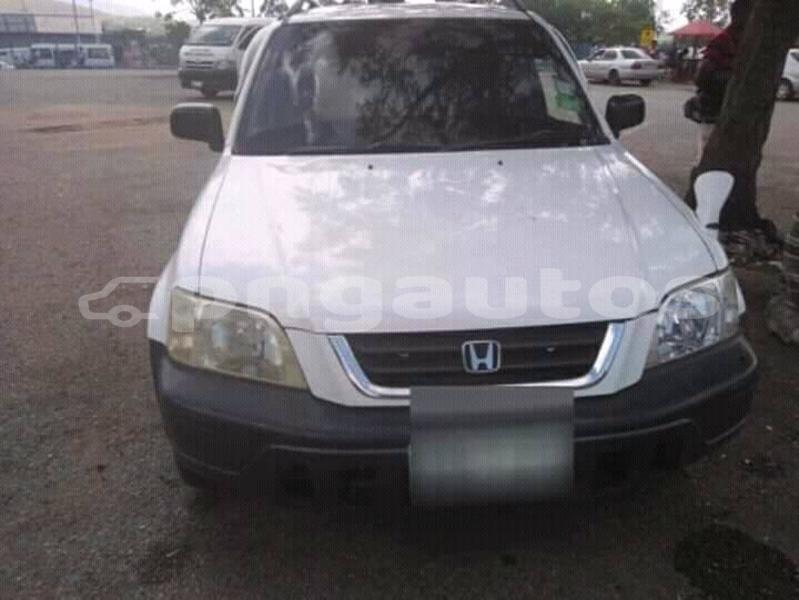 Big with watermark 50411454 1223916944428064 2674405203834306560 n