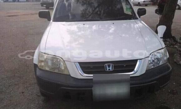 Buy Used Honda CRV White Car in Port Moresby in National Capital District Buy Used Honda CRV White Car in Port Moresby in National Capital District