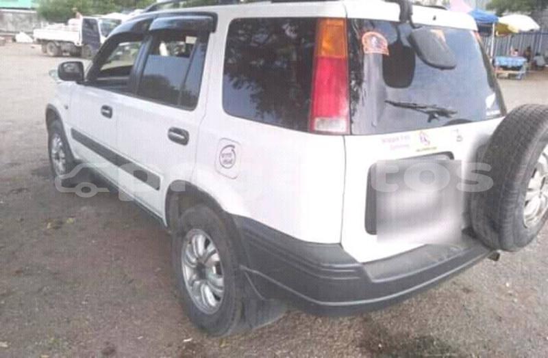 Big with watermark 50881519 1223916971094728 7218370772098613248 n