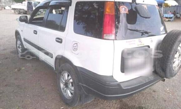 Buy Used Honda CRV White Car in Port Moresby in National Capital District Buy Used Honda CRV White Car in Port Moresby in National Capital District