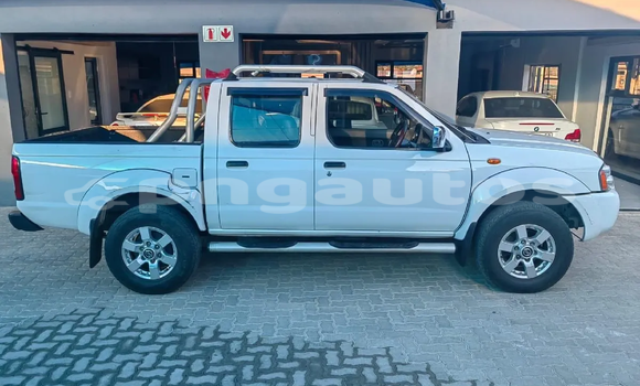Buy Used Nissan NP 300 White Car in Mendi in Southern Highlands Buy Used Nissan NP 300 White Car in Mendi in Southern Highlands