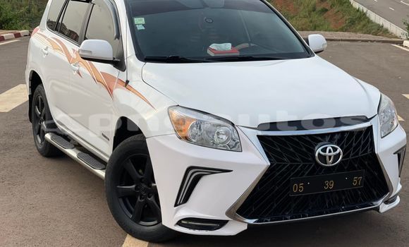 Buy Used Toyota RAV4 White Car in Port Moresby in National Capital District Buy Used Toyota RAV4 White Car in Port Moresby in National Capital District