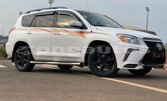 Buy Used Toyota RAV4 White Car in Port Moresby in National Capital District Buy Used Toyota RAV4 White Car in Port Moresby in National Capital District