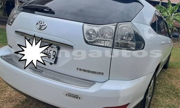 Acheter Occasion Voiture Toyota Harrier Autre à Ambok, Madang