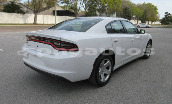 Buy Used Dodge Charger White Car in Port Moresby in National Capital District Buy Used Dodge Charger White Car in Port Moresby in National Capital District
