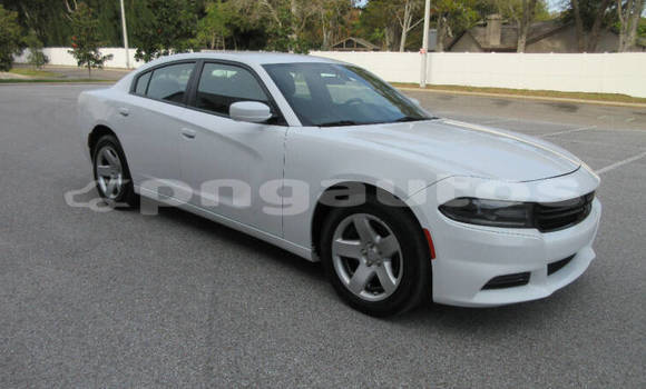 Buy Used Dodge Charger White Car in Port Moresby in National Capital District Buy Used Dodge Charger White Car in Port Moresby in National Capital District