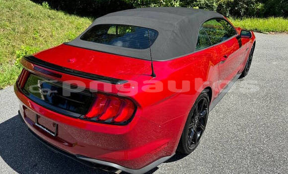 Buy Used Ford Mustang Red Car in Madang in Madang Buy Used Ford Mustang Red Car in Madang in Madang