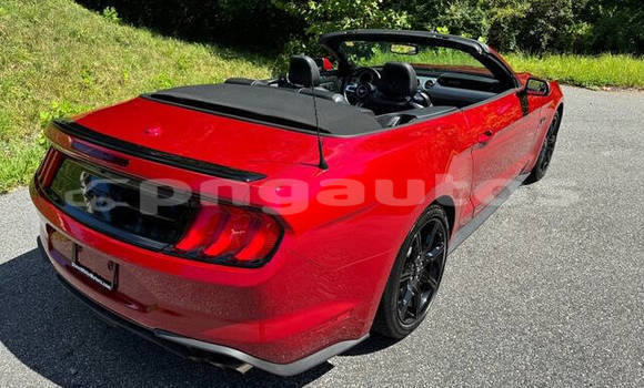 Buy Used Ford Mustang Red Car in Madang in Madang Buy Used Ford Mustang Red Car in Madang in Madang